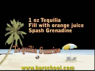 63 Bartending Tips and Cocktail Recipes Tutorial Videos