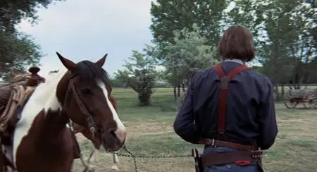 The Hired Hand (1971)