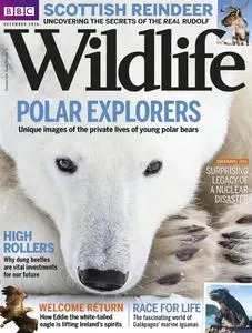BBC Wildlife Magazine – November 2016