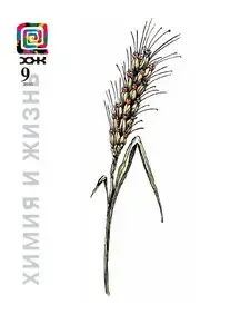 Химия и Жизнь №9 (сентябрь 2010)