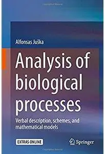 Analysis of biological processes: Verbal description, schemes, and mathematical models [Repost]