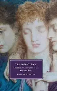 The Bigamy Plot: Sensation and Convention in the Victorian Novel