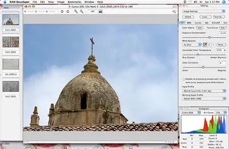 Digital RAW Developer 1.8.11