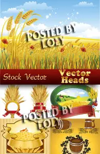Vektor ears - Stock Vector