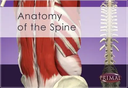 Primal Pictures:  Anatomy of the Spine DVD 1.0