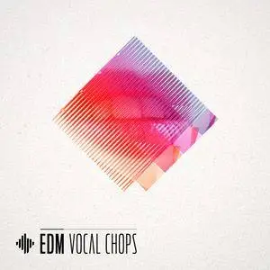 Diginoiz EDM Vocal Chops WAV
