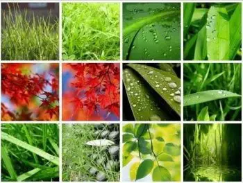 Windows Vista Wallpaper Pack 22