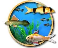 Fish Tycoon - GameHouse Game