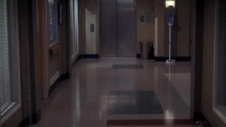 Grey's Anatomy S11E24