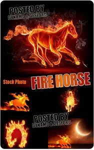 Fire Horse - UHQ Stock Photo