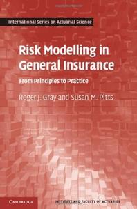 Risk Modelling in General Insurance: From Principles to Practice (repost)