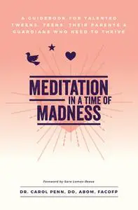 «Meditation in a Time of Madness» by Carol Penn