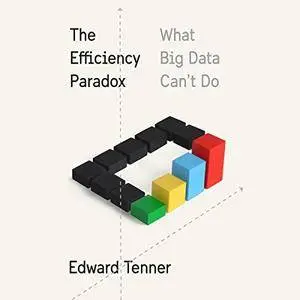 The Efficiency Paradox: What Big Data Can't Do [Audiobook]