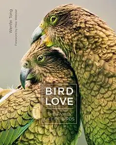 Bird Love: The Family Life of Birds