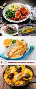 Photos - Different delicious dishes 61