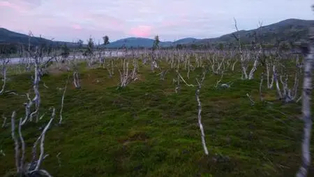 BBC - Climate Change on Trial (2021)