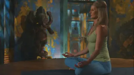 Shiva Rea: Daily Energy - Vinyasa Flow Yoga (2010)