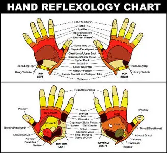 Traditional Chinese Medicine - Hand Reflexology