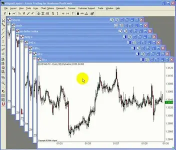 Raghee Horner - Intro to Forex