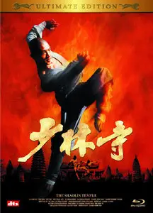 The Shaolin Temple (1982)