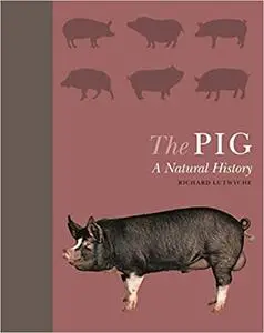 The Pig: A Natural History