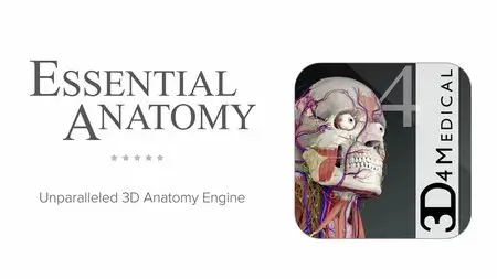Essential Anatomy 4.0