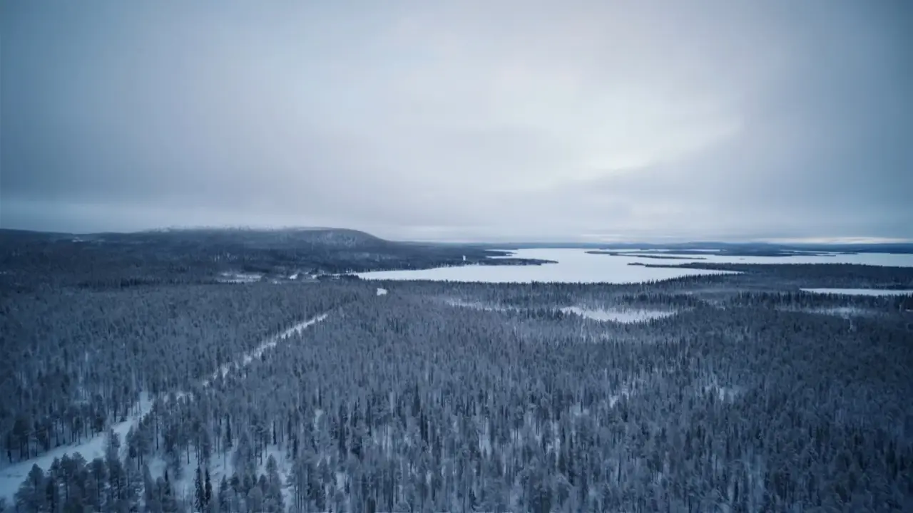 Путешествие гордона джино и фреда