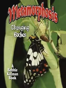 Metamorphosis - Changing Bodies