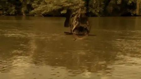 Mega Piranha (2010)