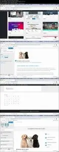 WordPress- Curso Completo Wordpress, Sitios, Tiendas y Más