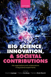 Big Science, Innovation, and Societal Contributions: The Organisations and Collaborations in Big Science Experiments