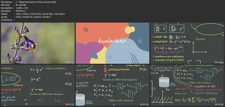 Become A Differential Equations Master