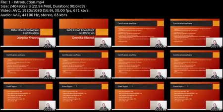 Salesforce Data Cloud Consultant Certification Course