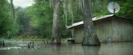 Annihilation (2018)