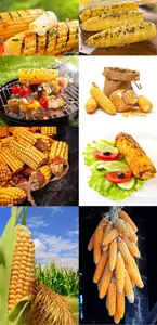 Delicious golden corn