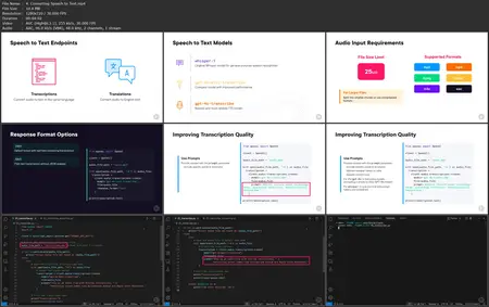 The OpenAI API