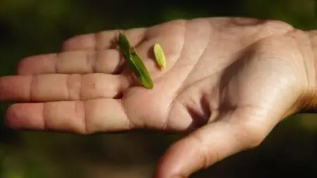Advanced Sustainable, Green And Climate Finance