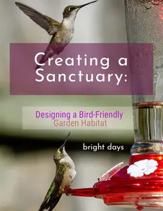 Creating a Sanctuary: Designing a Bird-Friendly Garden Habitat