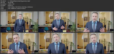Executive Diploma Of Vice President Chief Innovation Officer
