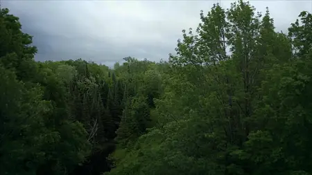 Accident.Suicide.Or.Murder.S05E13.1080p.WEB.H264-CBFM S05E13