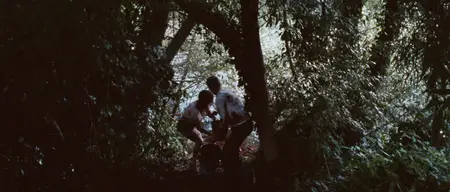 Alléluia / Alleluia (2014)