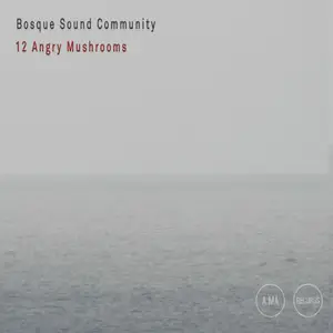 Bosque Sound Community - 12 Angry Mushrooms (2024) [Official Digital Download]