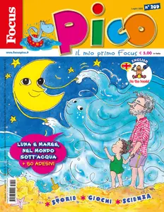 Focus Pico - 8 Luglio 2025