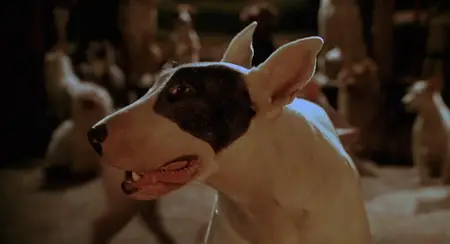 Babe: Pig in the City (1998)
