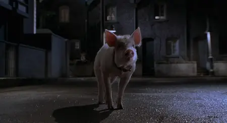 Babe: Pig in the City (1998)