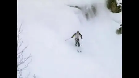 McConkey (2013)
