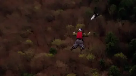 McConkey (2013)