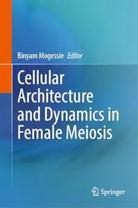 Cellular Architecture and Dynamics in Female Meiosis