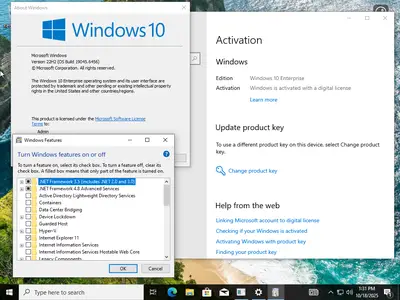 Windows 10 22H2 build 9045.6456 AIO 16in1 (x64) Preactivated October 2025