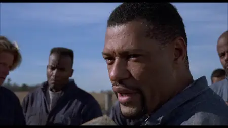 Fled (1996)